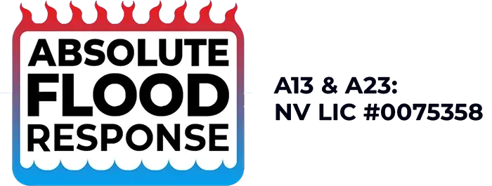 Absolute_Flood_Response_Logo
